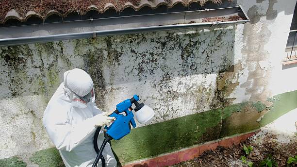 Top rated local Mold Remediation specialists in Allport, PA